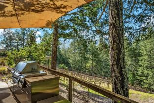 Single Family Residence,  Kortum Canyon road, Calistoga, CA 94515 - 59
