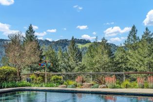 Single Family Residence,  Kortum Canyon road, Calistoga, CA 94515 - 47
