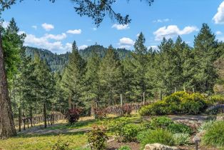 Single Family Residence,  Kortum Canyon road, Calistoga, CA 94515 - 72