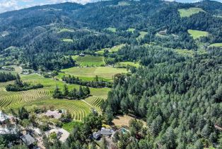 Single Family Residence,  Kortum Canyon road, Calistoga, CA 94515 - 86