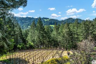 Single Family Residence,  Kortum Canyon road, Calistoga, CA 94515 - 80