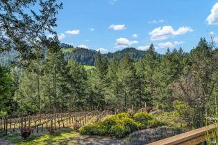Single Family Residence,  Kortum Canyon road, Calistoga, CA 94515 - 21