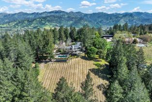 Single Family Residence,  Kortum Canyon road, Calistoga, CA 94515 - 83