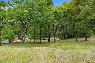 Commercial Lot, 13790 Arnold drive, Glen Ellen, CA 95442 - 9