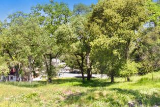 Commercial Lot, 13790 Arnold drive, Glen Ellen, CA 95442 - 14