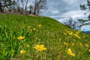 Residential Acreage,  Big Ridge road, Healdsburg, CA 95448 - 15