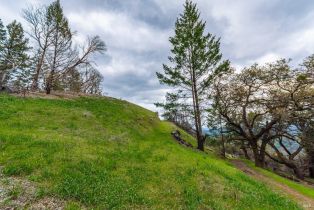 Residential Acreage,  Big Ridge road, Healdsburg, CA 95448 - 36
