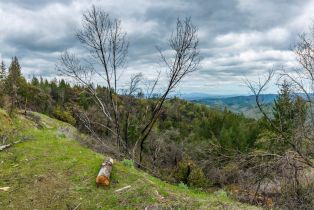 Residential Acreage,  Big Ridge road, Healdsburg, CA 95448 - 19