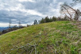 Residential Acreage,  Big Ridge road, Healdsburg, CA 95448 - 21