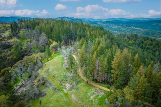 Residential Acreage,  Big Ridge road, Healdsburg, CA 95448 - 7