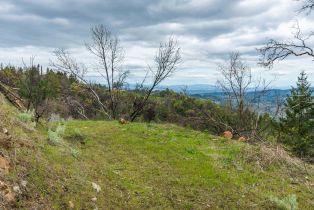 Residential Acreage,  Big Ridge road, Healdsburg, CA 95448 - 39