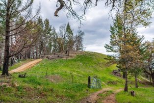 Residential Acreage,  Big Ridge road, Healdsburg, CA 95448 - 33