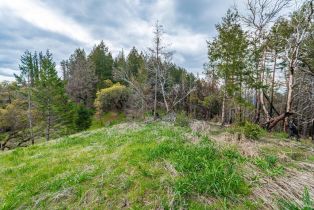 Residential Acreage,  Big Ridge road, Healdsburg, CA 95448 - 27