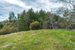 Residential Acreage,  Big Ridge road, Healdsburg, CA 95448 - 24
