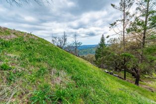 Residential Acreage,  Big Ridge road, Healdsburg, CA 95448 - 12
