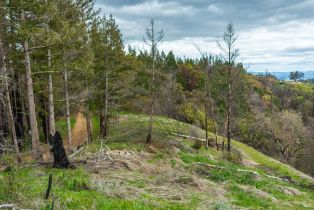 Residential Acreage,  Big Ridge road, Healdsburg, CA 95448 - 22