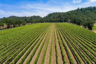 Residential Lot,  Highway 128 none, Cloverdale, CA 95425 - 13