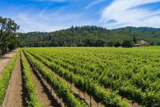 Residential Lot,  Highway 128 none, Cloverdale, CA 95425 - 4