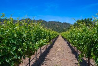 Residential Lot,  Highway 128 none, Cloverdale, CA 95425 - 8