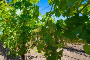 Residential Lot,  Highway 128 none, Cloverdale, CA 95425 - 12