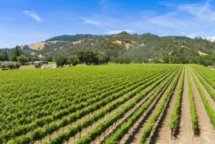 Residential Lot,  Highway 128 none, Cloverdale, CA 95425 - 6