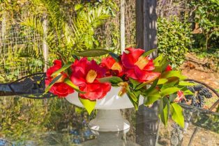 Single Family Residence,  Michael drive, Sonoma, CA 95476 - 38