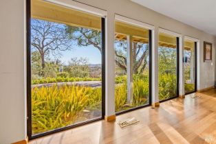 Single Family Residence,  Michael drive, Sonoma, CA 95476 - 11