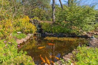 Single Family Residence,  Michael drive, Sonoma, CA 95476 - 7