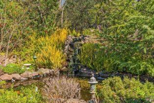 Single Family Residence,  Michael drive, Sonoma, CA 95476 - 36