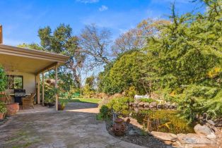 Single Family Residence,  Michael drive, Sonoma, CA 95476 - 39