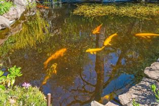 Single Family Residence,  Michael drive, Sonoma, CA 95476 - 34