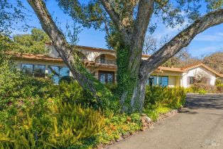 Single Family Residence,  Michael drive, Sonoma, CA 95476 - 2