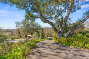 Single Family Residence,  Michael drive, Sonoma, CA 95476 - 4