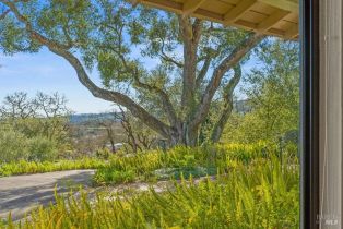 Single Family Residence,  Michael drive, Sonoma, CA 95476 - 12