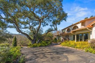 Single Family Residence,  Michael drive, Sonoma, CA 95476 - 8