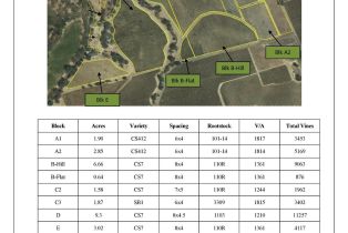 Single Family Residence,  Monticello road, Napa, CA 94558 - 40