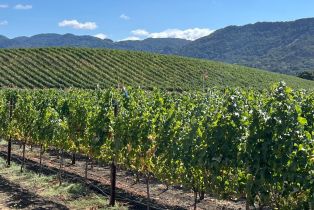 Single Family Residence,  Monticello road, Napa, CA 94558 - 12