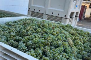 Single Family Residence,  Monticello road, Napa, CA 94558 - 34