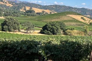 Single Family Residence,  Monticello road, Napa, CA 94558 - 16