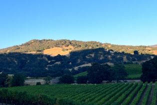 Single Family Residence,  Monticello road, Napa, CA 94558 - 36