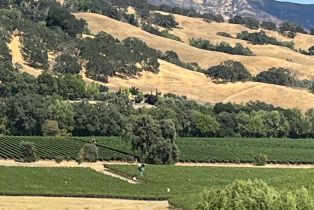 Single Family Residence,  Monticello road, Napa, CA 94558 - 14