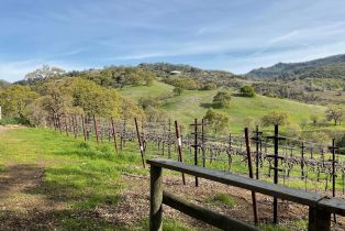 Single Family Residence,  Monticello road, Napa, CA 94558 - 28