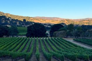 Single Family Residence,  Monticello road, Napa, CA 94558 - 35