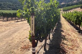 Single Family Residence,  Monticello road, Napa, CA 94558 - 24