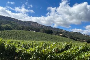 Single Family Residence,  Monticello road, Napa, CA 94558 - 26