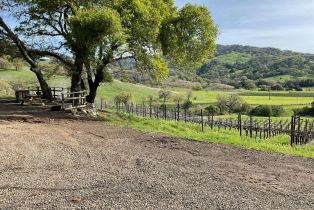 Single Family Residence,  Monticello road, Napa, CA 94558 - 8