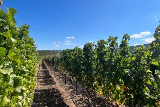 Single Family Residence,  Monticello road, Napa, CA 94558 - 13