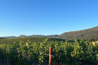 Single Family Residence,  Monticello road, Napa, CA 94558 - 31