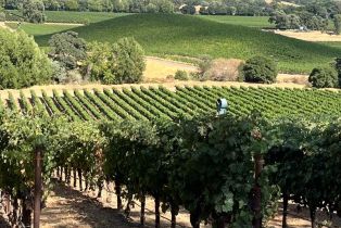 Single Family Residence,  Monticello road, Napa, CA 94558 - 18