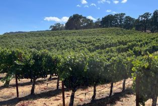 Single Family Residence,  Monticello road, Napa, CA 94558 - 20